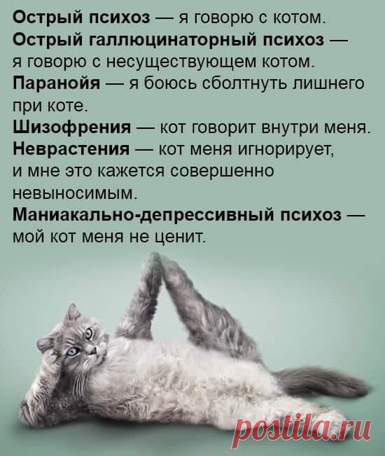 #несерьезное