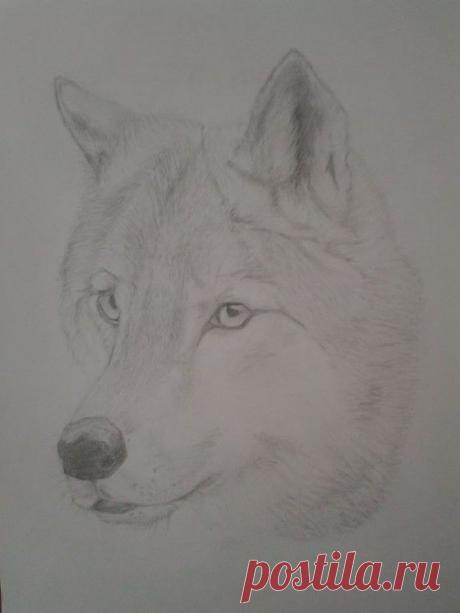 ЯРКИЙ МИР ТВОРЧЕСТВА!
Mihran Mkrtumyan (Художник)