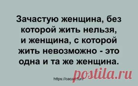 Анекдоты заказывали? Забирайте! - Смехотерапия - 17 июня - 43723264532 - Медиаплатформа МирТесен