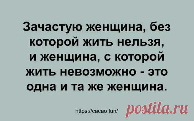 Анекдоты заказывали? Забирайте! - Смехотерапия - 17 июня - 43723264532 - Медиаплатформа МирТесен