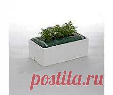 Необычный огород