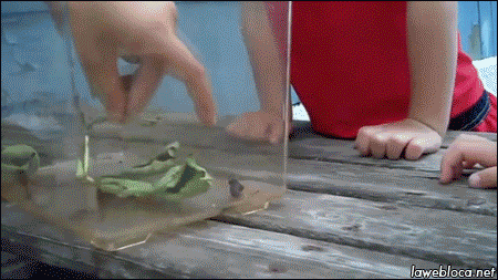 (1) Лёля Жданова - 37 лет на Мой Мир@Mail.ru