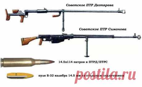 В Мариуполе ликвидирован рейджер - инструктор из  | Новости, события, факты