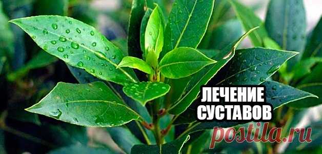 ЛЕЧЕНИЕ СУСТАВОВ