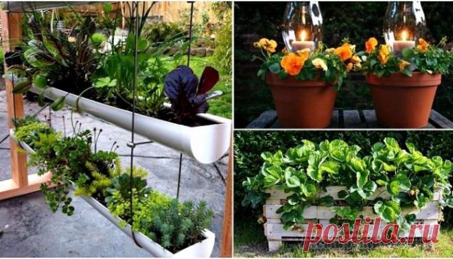 Идеи, которые помогут увеличить возможности маленького сада Для многих дачный участок - это настоящая отдушина.
Ведь он приносит пользу и для тела, и для души.
Чем ярче и красивее участок, тем приятнее хозяевам там находиться.
Сегодня мы собрали 17 идей, котор...