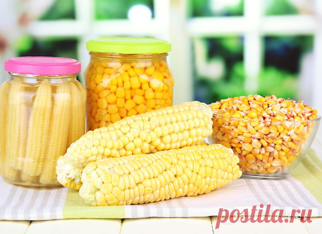 Консервация кукурузы початками