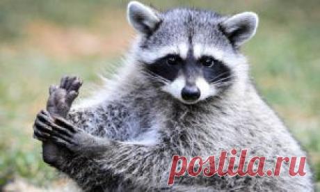 14 волнующих картин Лоры Зомби