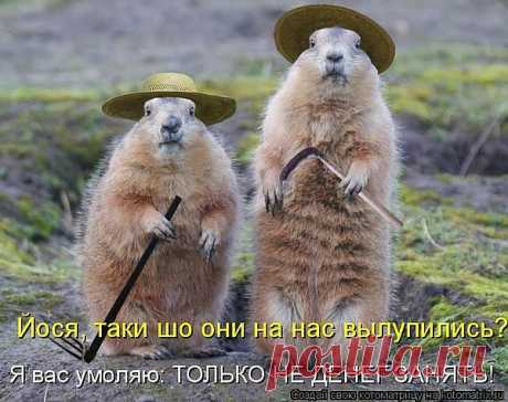 Только не деньги......