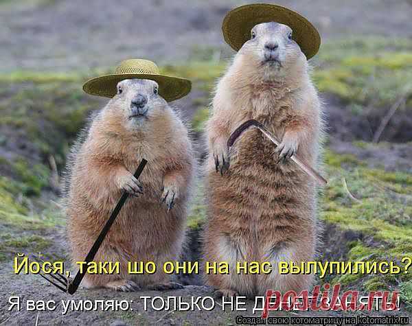 Только не деньги......