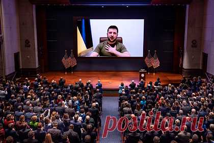 Во внешнем виде Зеленского увидели послание публике. Имиджмейкер и председатель Союза пиарщиков России Мария Тарханова раскрыла тайные послания публике от Зеленского через его наряды. По словам Тархановой, надевая футболку украинский лидер «играет на публику». Она отметила, что появление Зеленского в подобном виде можно расценивать как желание прибедниться.