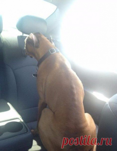 Мешал ехать за рулем / Взлом логики