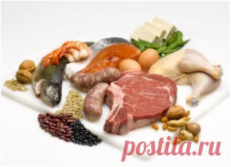 Белок в продуктах питания