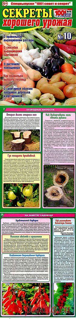 1001 совет и секрет. Спецвыпуск №10 2014. Секреты хорошего урожая.