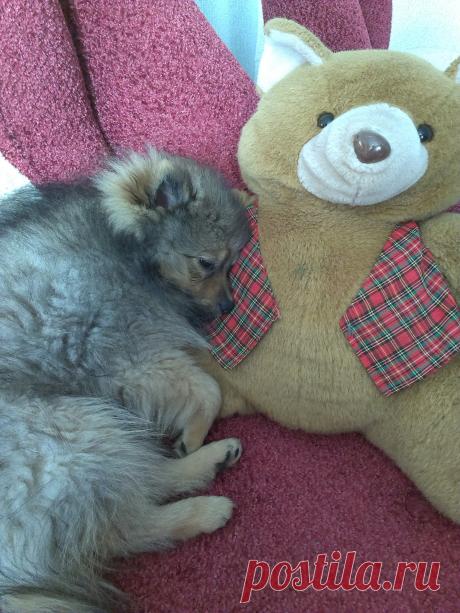 Я сплю,отстаньте