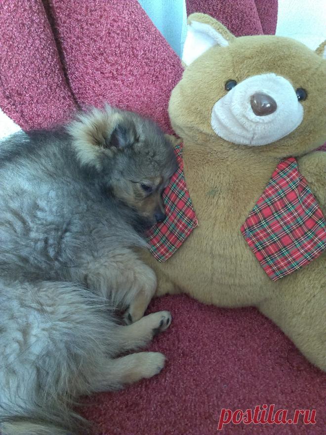 Я сплю,отстаньте