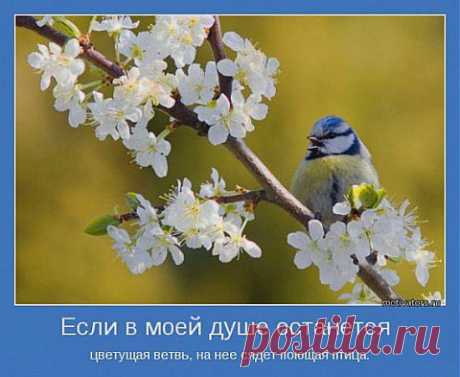 ПУСТЬ В ДУШЕ ЦВЕТЕТ СИРЕНЬ...