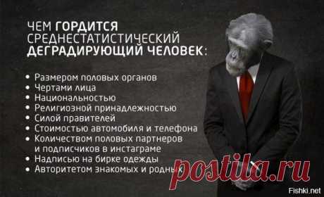 Картинки для хорошего настроения! / Приколы