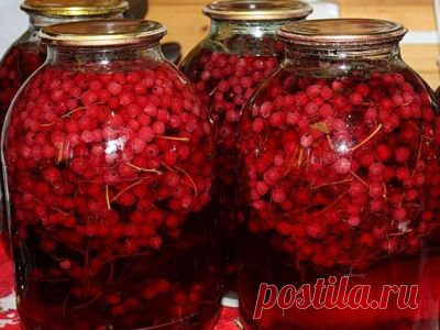 Компот из красной смородины
