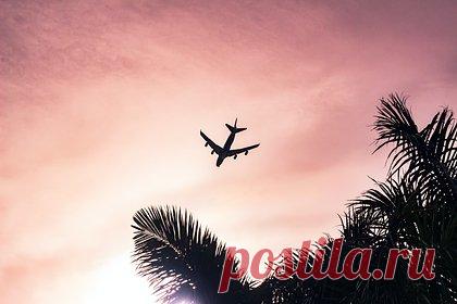 Летевшей на Бали блогерше пригрозили заключением из-за дефекта в паспорте. Летевшую на Бали из Сиднея блогершу не пустили в самолет из-за того, что в ее паспорте обнаружили небольшой дефект. В ролике в TikTok звезда соцсетей Эмма Доэрти объясняет, что сотрудники аэропорта в Австралии запретили ей сесть на рейс на индонезийский остров, потому что ее паспорт был немного поврежден водой.