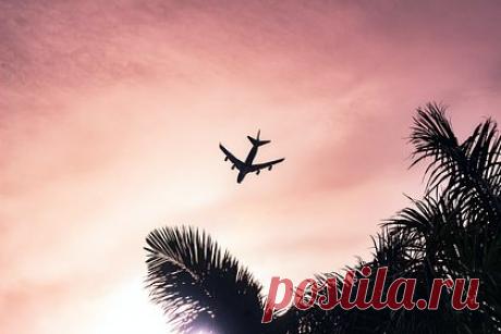 Летевшей на Бали блогерше пригрозили заключением из-за дефекта в паспорте. Летевшую на Бали из Сиднея блогершу не пустили в самолет из-за того, что в ее паспорте обнаружили небольшой дефект. В ролике в TikTok звезда соцсетей Эмма Доэрти объясняет, что сотрудники аэропорта в Австралии запретили ей сесть на рейс на индонезийский остров, потому что ее паспорт был немного поврежден водой.