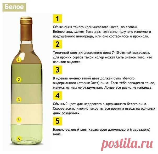 Качество вина проще всего оценить по его цвету | Хитрости Жизни