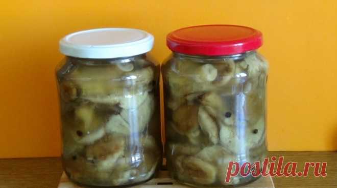Маринованные волнушки на зиму / Простые рецепты