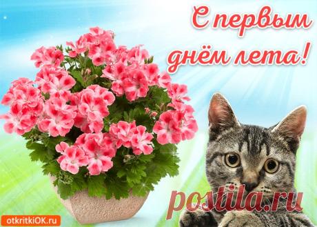 Картинки с Началом Лета | ТОП Картинки