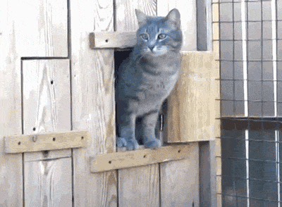 Мой Мир@Mail.Ru