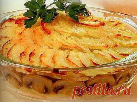10 Вкусных запеканок на УЖИН, ЗАВТРАК или ОБЕД
1. Запеканка с фаршем и гречкой
._____________________________________________________
Ингредиенты:
●700 г куриного фарша
●2 крупные луковицы
●2 морковки
●250 г гречки
●2 яблока
●120 г сыра
Приготовление:
1. В смеси растительного и сливочного масел обжарила до мягкости луковицы, порезав кубиком и тёртые на крупной тёрке морковки — охладила.
2. Смешала с куриным фаршем, хорошо приправила, вымесила до однородности и выложила сло...