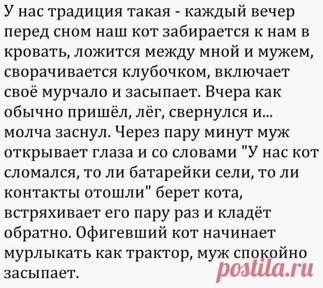 Смешные комментарии и высказывания из социальных сетей (37 фото) | Чёрт побери Очередная подборка смешных высказываний и комментариев из социальных сетей и других частей интернета.