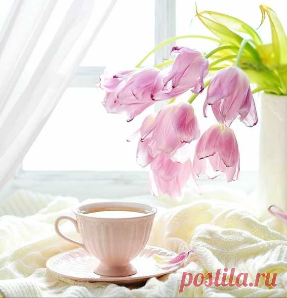 С добрым утром!
Пусть наступивший день будет тёплым и светлым, принесёт всем нам радость и хорошие новости!