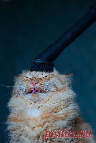 Мой Мир@Mail.Ru