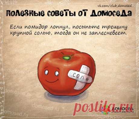 Советы от Домоседа - 3 - Советы для дома и хозяйства - Женский Мир