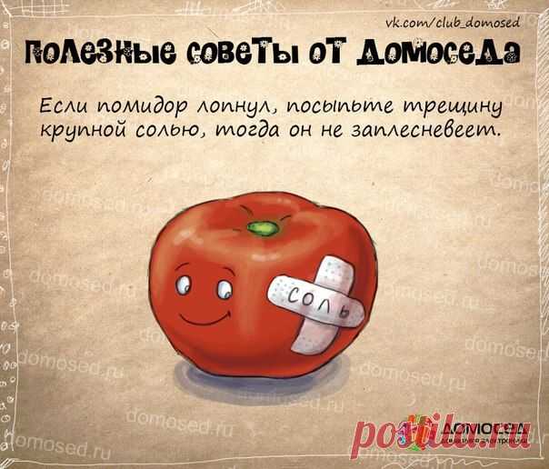 Советы от Домоседа - 3 - Советы для дома и хозяйства - Женский Мир
