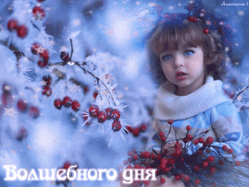 ГЛАЗА ВОЛКА - на Мой Мир@Mail.ru