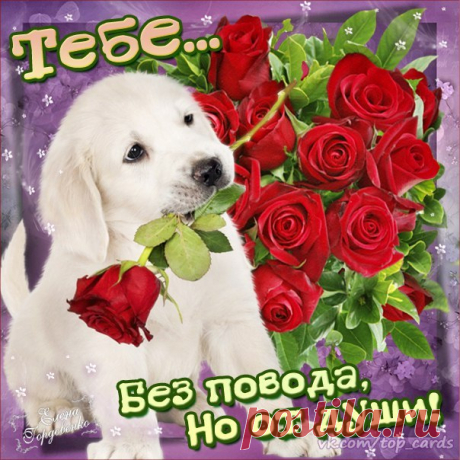 Цветы для друзей!