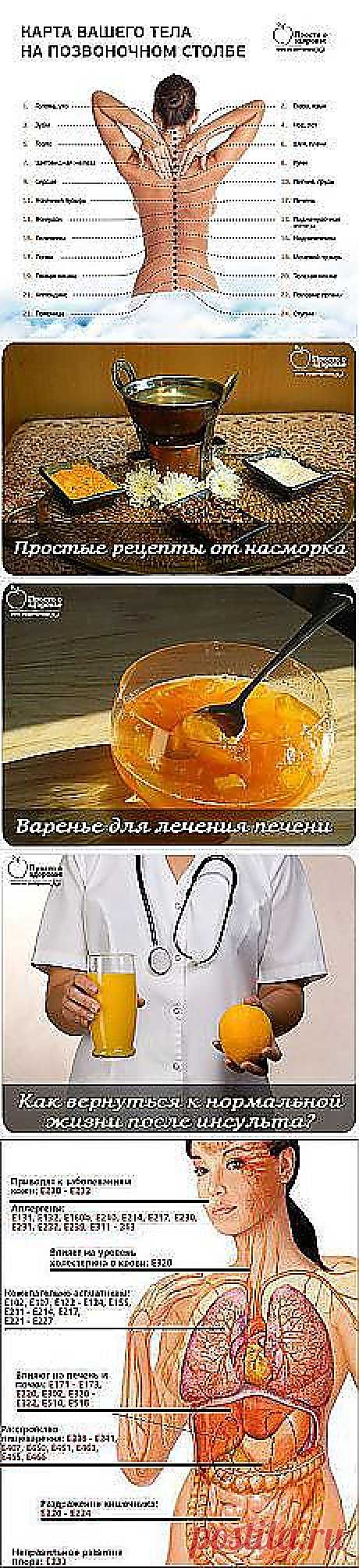 Мои подписки | Постила.ru