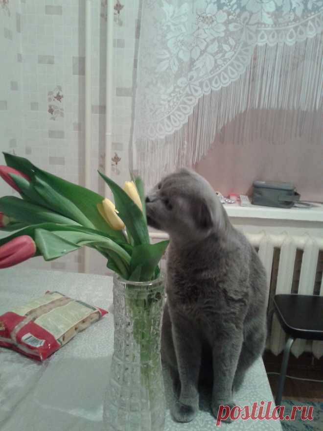 Красота!!!