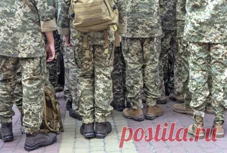 Норвегию сулят. На Украине выманивают бомжей из подвала и отправляют в ВСУ. Контингент ВСУ вызывает опасения своей убогостью.