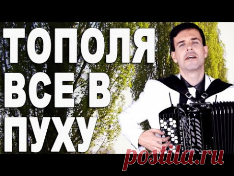 ♫ ♫ СЕРДЦЕ ЗАМИРАЕТ ОТ ГОЛОСА!Тополя все в пуху (дворовая песня)