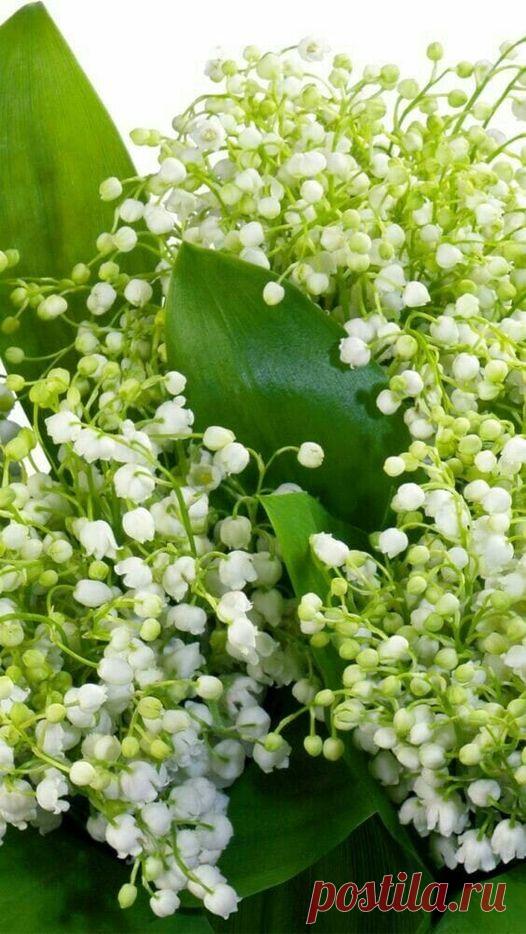 Группы | Facebook