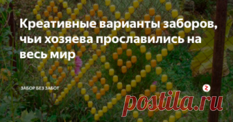 Креативные варианты заборов, чьи хозяева прославились на весь мир Заборы и ограждения это именно то, что позволит любому творческому человеку проявить свой талант. Те люди, которые в обществе не демонстрируют свои творческие способности, могут сделать это на собственном заборе. Для создания сооружения необязательно использовать купленный материал специально. Для того чтобы создать забор можно использовать целую кучу бутылок из стекла. Отличным вариантом станут,