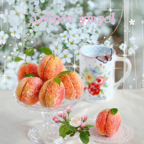 431bdf6045523661oo1d9204232504dl.jpg (600×600)