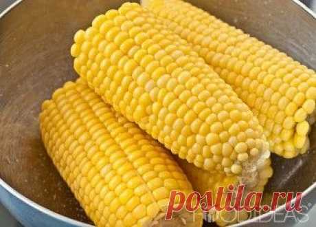 Рецепты для микроволновки с фото и подробными инструкциями