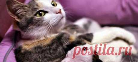 Сергей Крупка