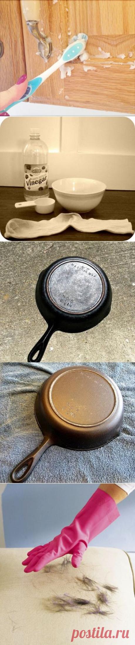 Как навести идеальную чистоту на кухне без труда и затрат и поддерживать её.