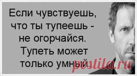 (91) Страницы