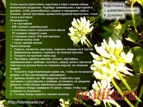 Рецепты - Картошка с шампиньонами в духовке