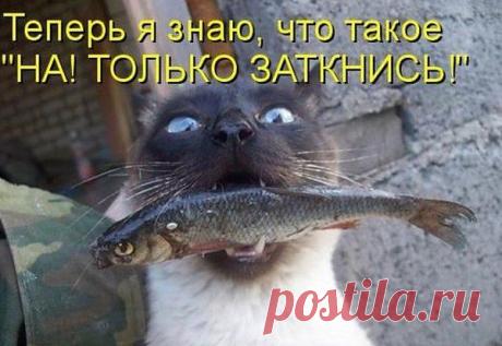 Интересные новости