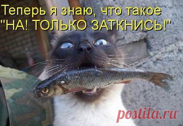 Интересные новости